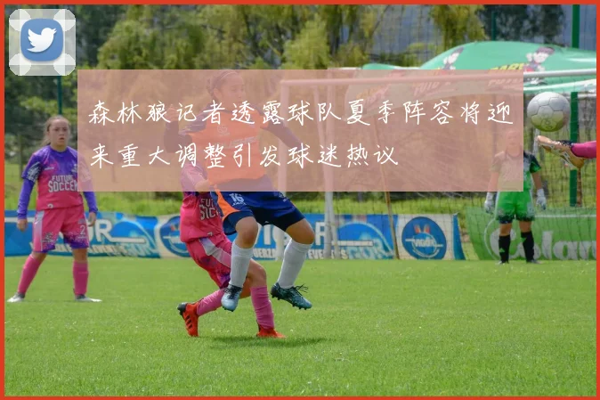 森林狼记者透露球队夏季阵容将迎来重大调整引发球迷热议