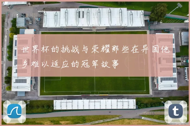 世界杯的挑战与荣耀那些在异国他乡难以适应的冠军故事