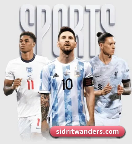 五大服务分区,信息按项目分类